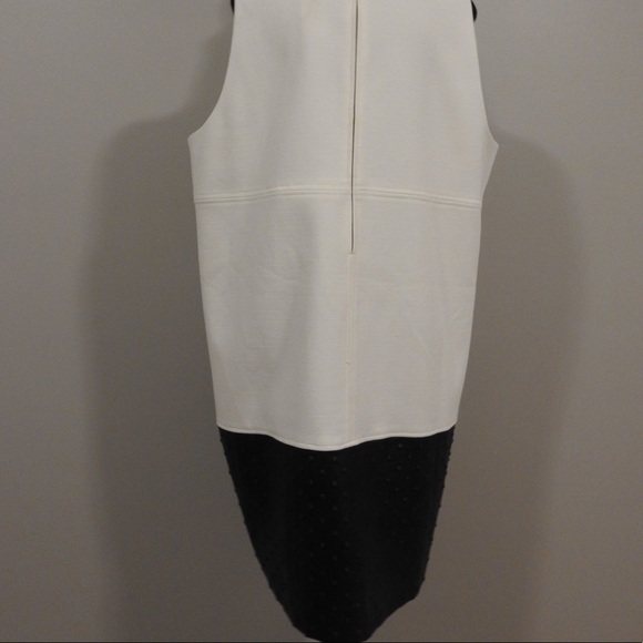 Color Block Shift Dress - Picture 4 of 6